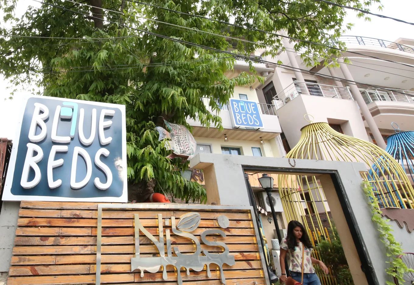 Blue Beds Jaipur logo